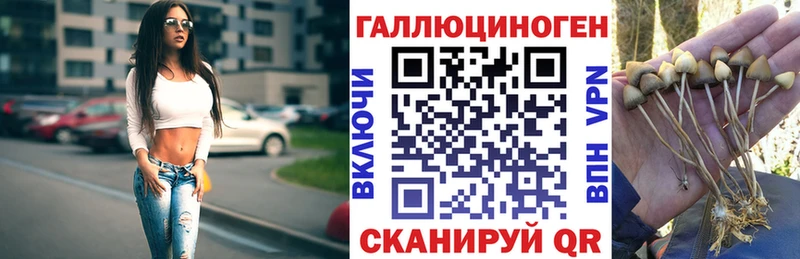 Купить где  Чистополь  Галлюциногенные грибы мухоморы 